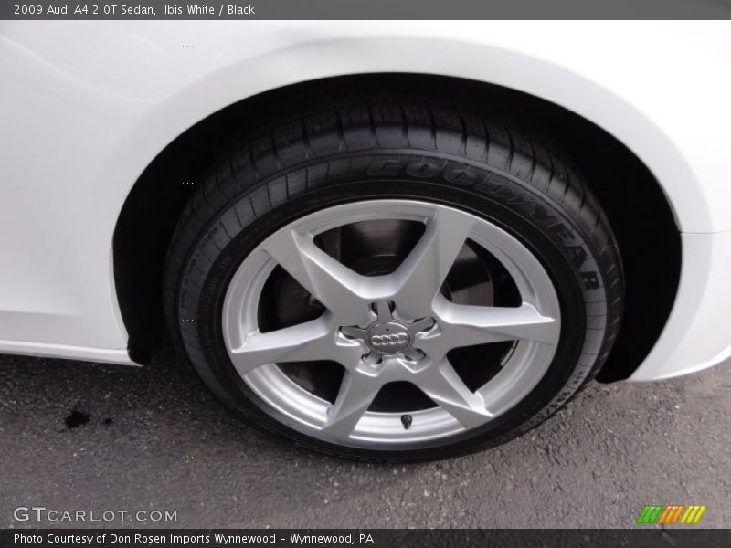 Ibis White / Black 2009 Audi A4 2.0T Sedan