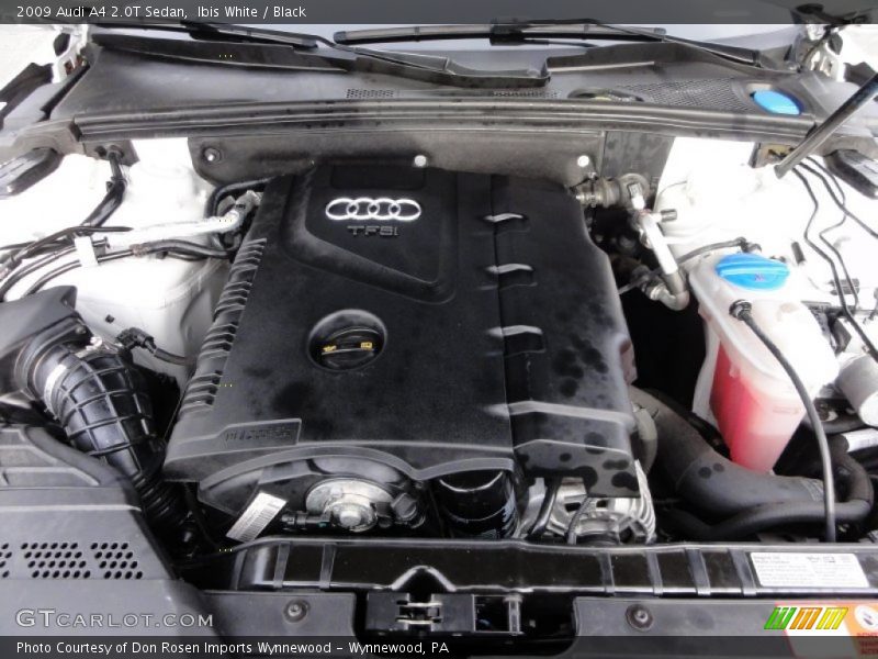 Ibis White / Black 2009 Audi A4 2.0T Sedan