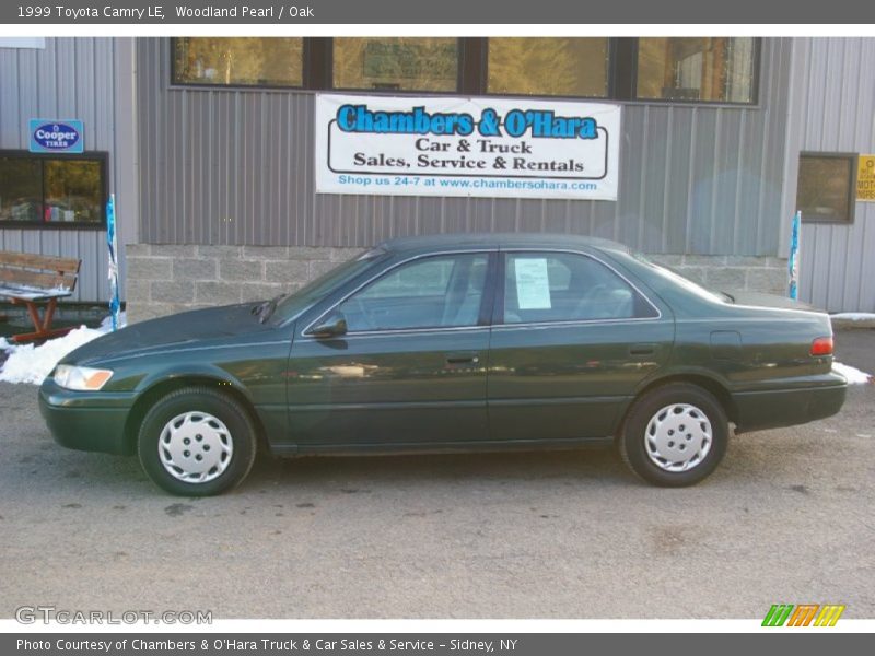 Woodland Pearl / Oak 1999 Toyota Camry LE