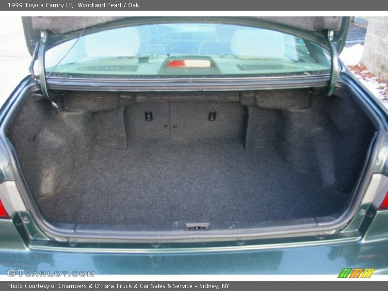 Woodland Pearl / Oak 1999 Toyota Camry LE