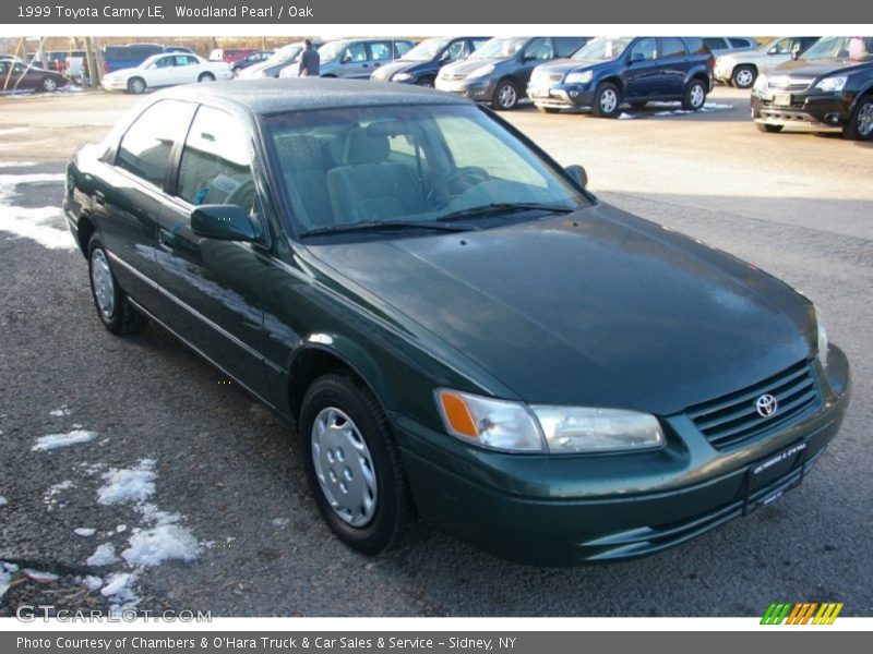 Woodland Pearl / Oak 1999 Toyota Camry LE