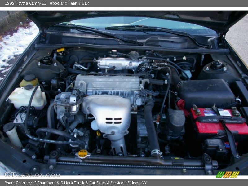 Woodland Pearl / Oak 1999 Toyota Camry LE