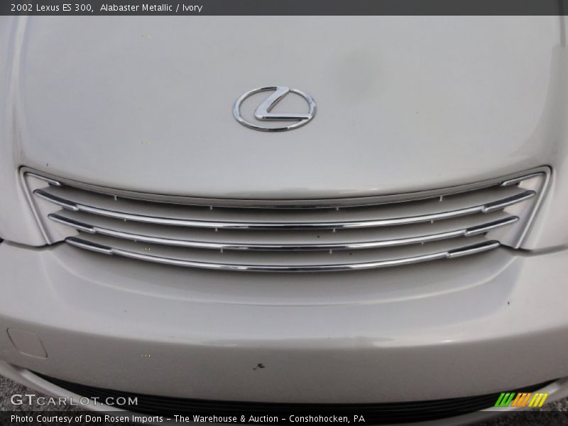 Alabaster Metallic / Ivory 2002 Lexus ES 300