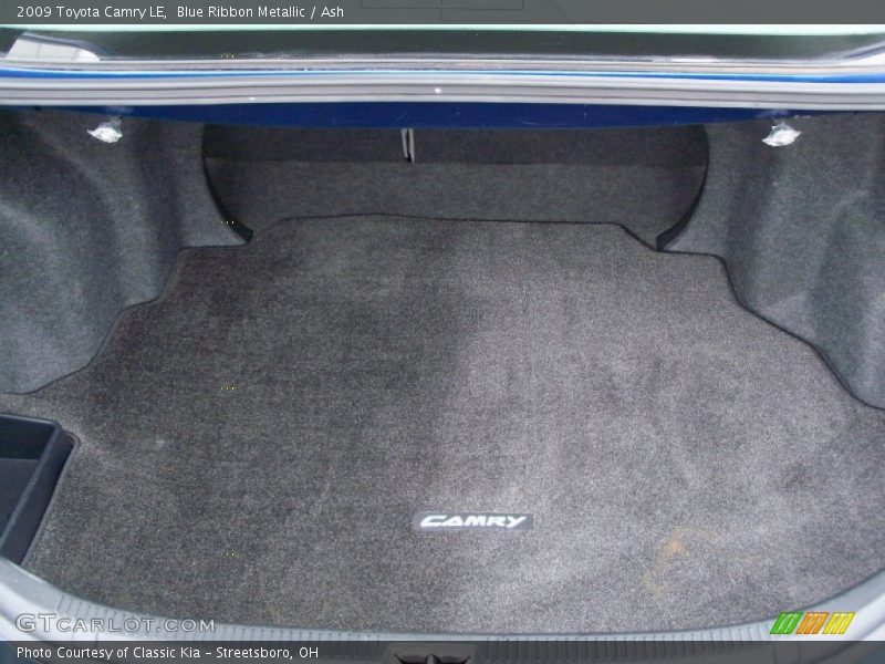 Blue Ribbon Metallic / Ash 2009 Toyota Camry LE