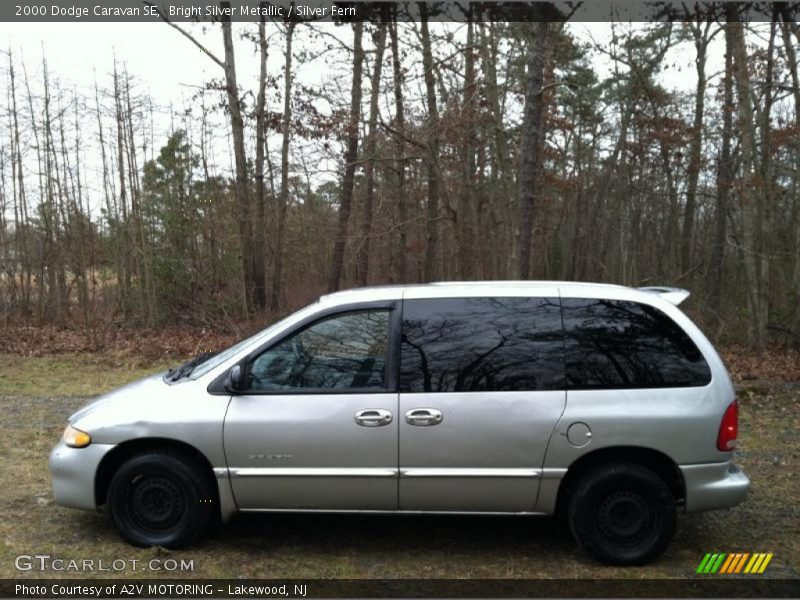 Bright Silver Metallic / Silver Fern 2000 Dodge Caravan SE