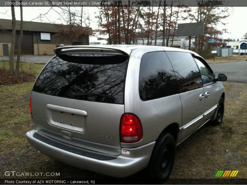 Bright Silver Metallic / Silver Fern 2000 Dodge Caravan SE