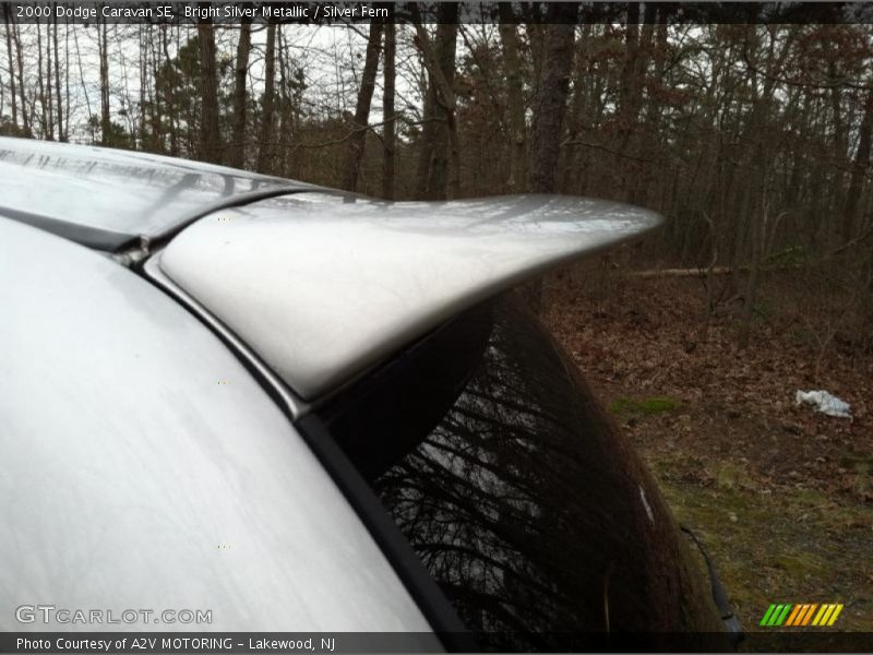 Bright Silver Metallic / Silver Fern 2000 Dodge Caravan SE