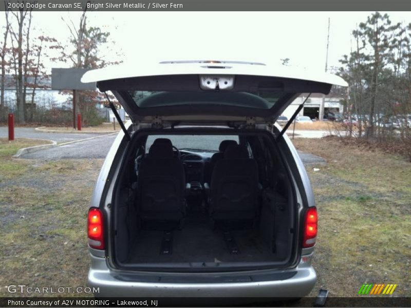 Bright Silver Metallic / Silver Fern 2000 Dodge Caravan SE