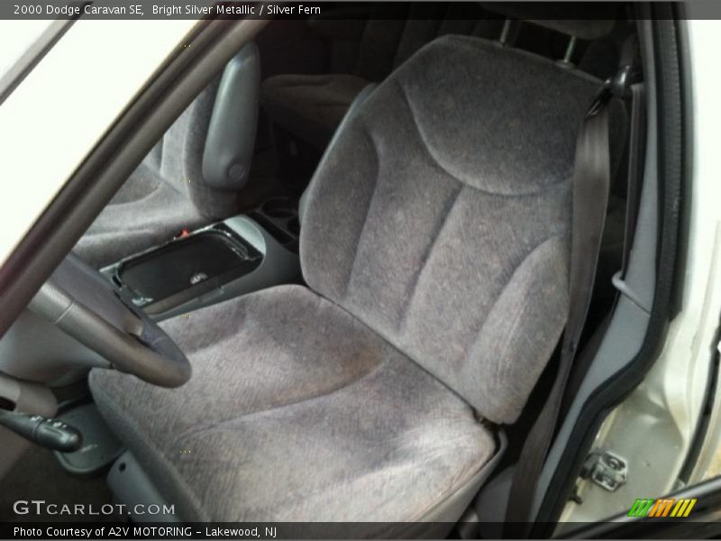 Bright Silver Metallic / Silver Fern 2000 Dodge Caravan SE