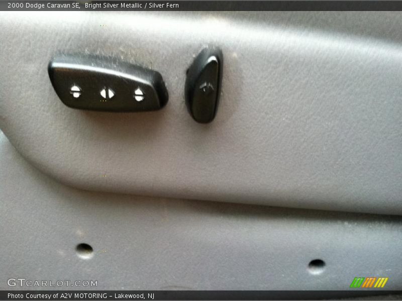 Bright Silver Metallic / Silver Fern 2000 Dodge Caravan SE