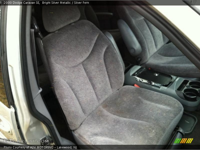 Bright Silver Metallic / Silver Fern 2000 Dodge Caravan SE