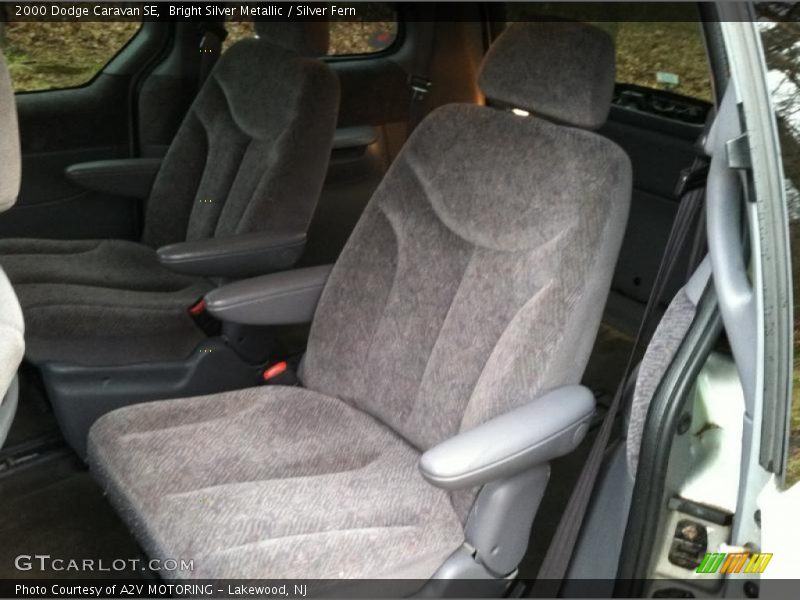 Bright Silver Metallic / Silver Fern 2000 Dodge Caravan SE