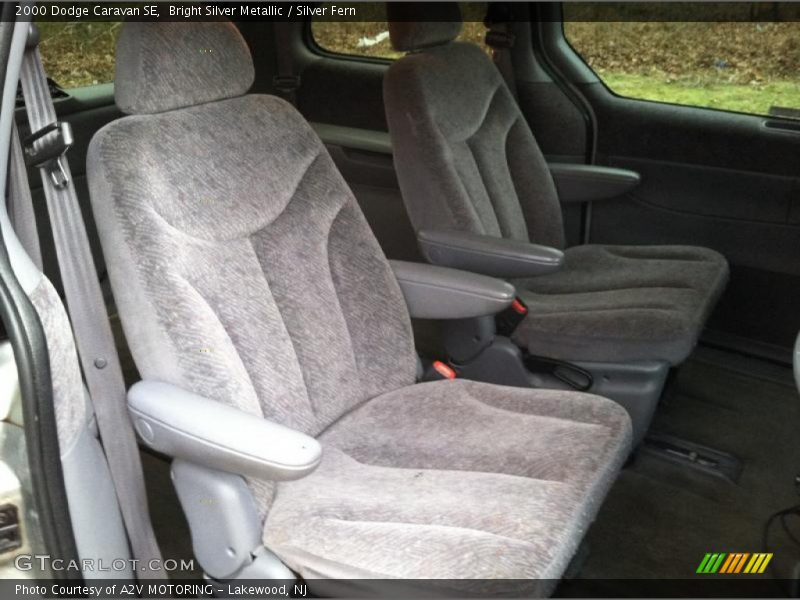 Bright Silver Metallic / Silver Fern 2000 Dodge Caravan SE