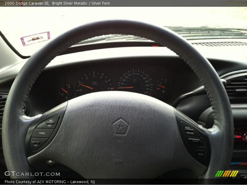 Bright Silver Metallic / Silver Fern 2000 Dodge Caravan SE