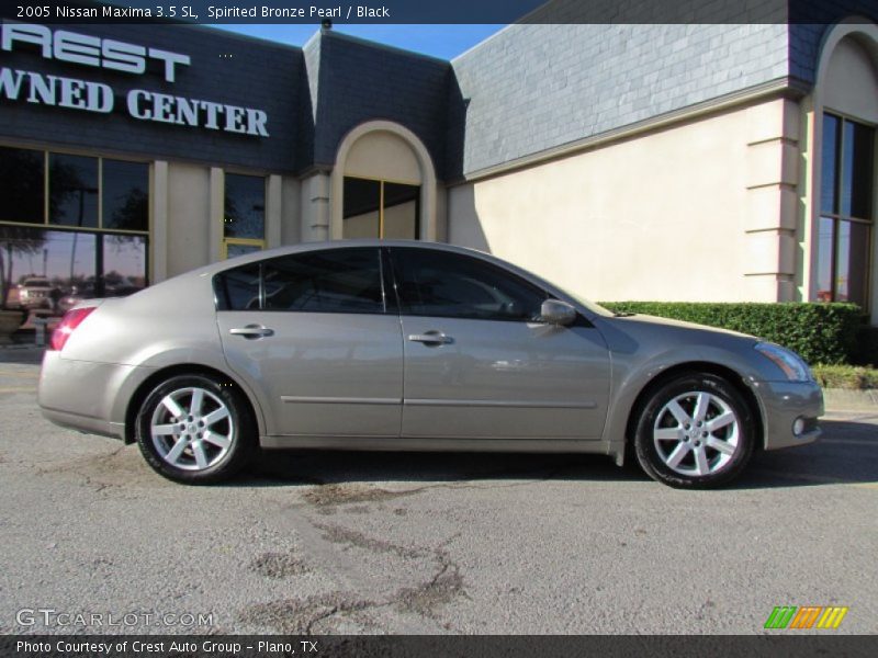 Spirited Bronze Pearl / Black 2005 Nissan Maxima 3.5 SL