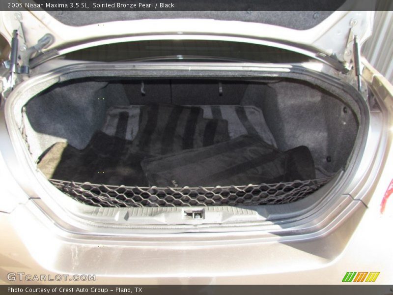 Spirited Bronze Pearl / Black 2005 Nissan Maxima 3.5 SL