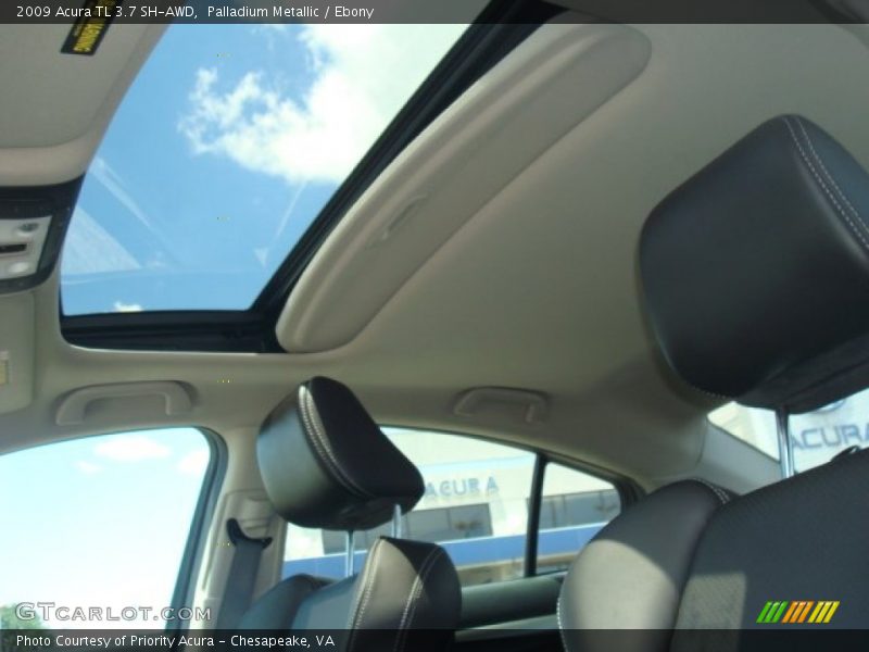 Palladium Metallic / Ebony 2009 Acura TL 3.7 SH-AWD