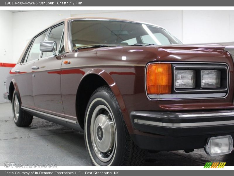 Chestnut / Tan 1981 Rolls-Royce Silver Spur