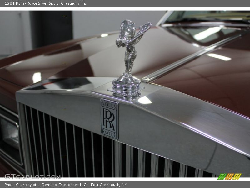 Chestnut / Tan 1981 Rolls-Royce Silver Spur