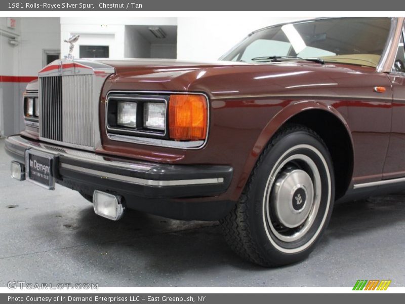 Chestnut / Tan 1981 Rolls-Royce Silver Spur