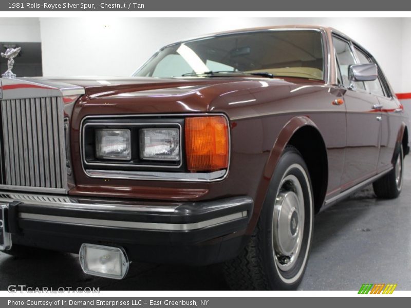 Chestnut / Tan 1981 Rolls-Royce Silver Spur