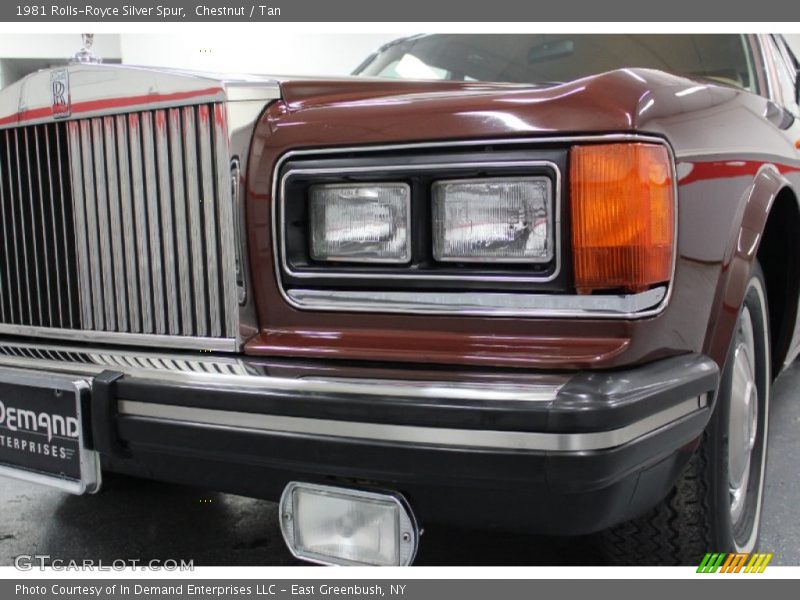Chestnut / Tan 1981 Rolls-Royce Silver Spur