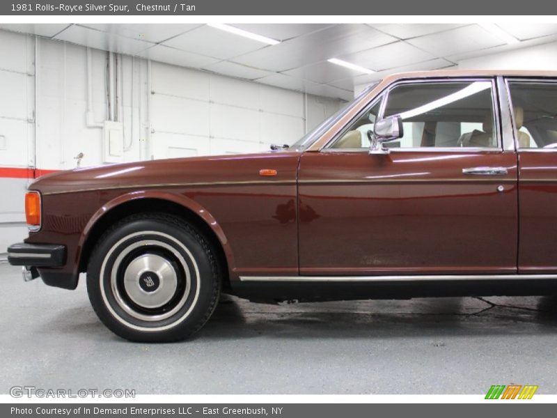 Chestnut / Tan 1981 Rolls-Royce Silver Spur