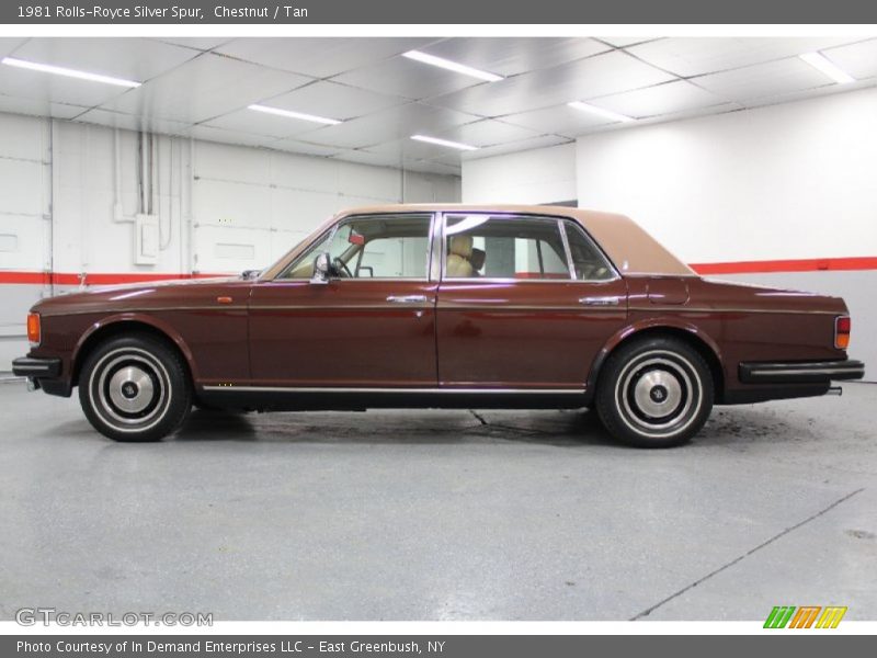  1981 Silver Spur  Chestnut