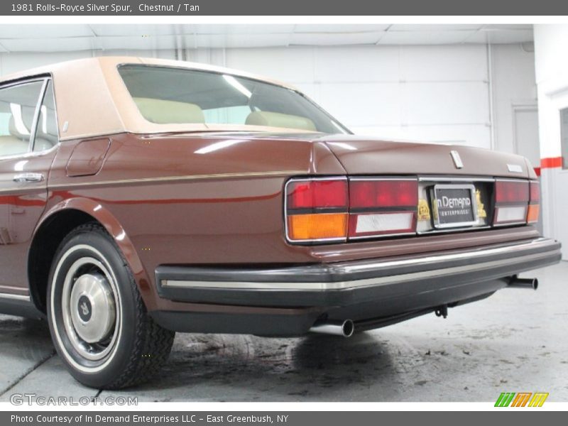 Chestnut / Tan 1981 Rolls-Royce Silver Spur