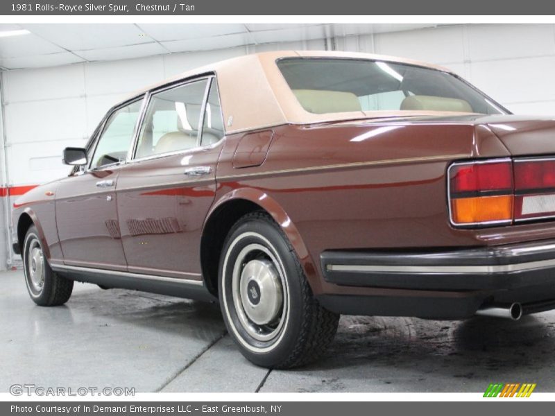 Chestnut / Tan 1981 Rolls-Royce Silver Spur