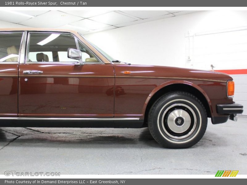 Chestnut / Tan 1981 Rolls-Royce Silver Spur