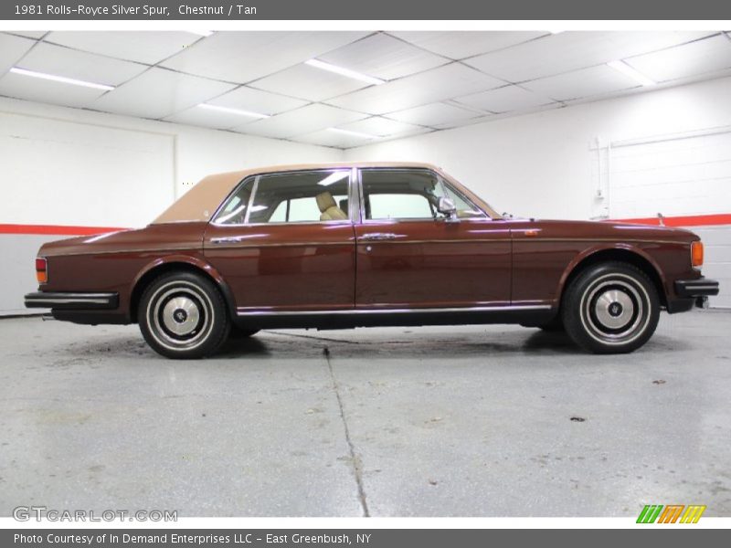  1981 Silver Spur  Chestnut