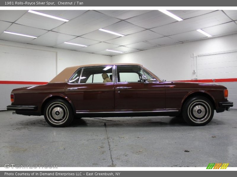 Chestnut / Tan 1981 Rolls-Royce Silver Spur