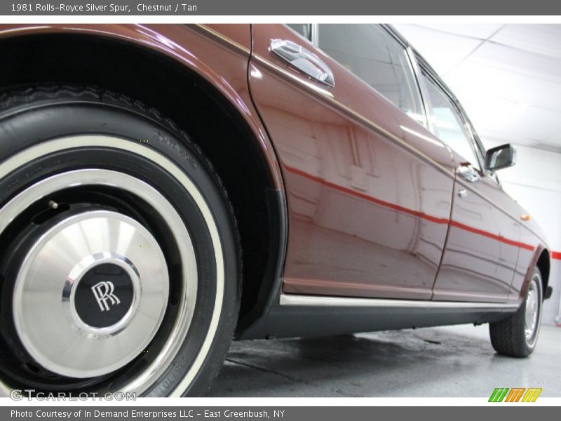 Chestnut / Tan 1981 Rolls-Royce Silver Spur
