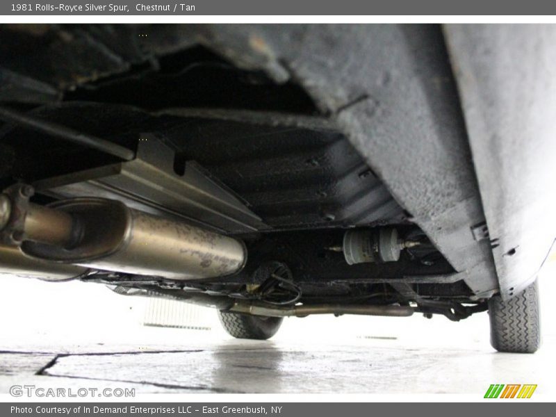 Chestnut / Tan 1981 Rolls-Royce Silver Spur