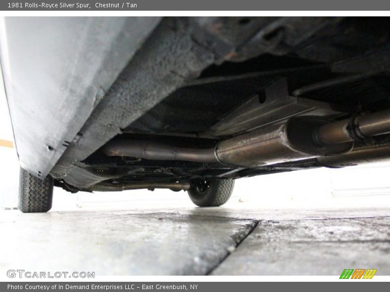 Chestnut / Tan 1981 Rolls-Royce Silver Spur
