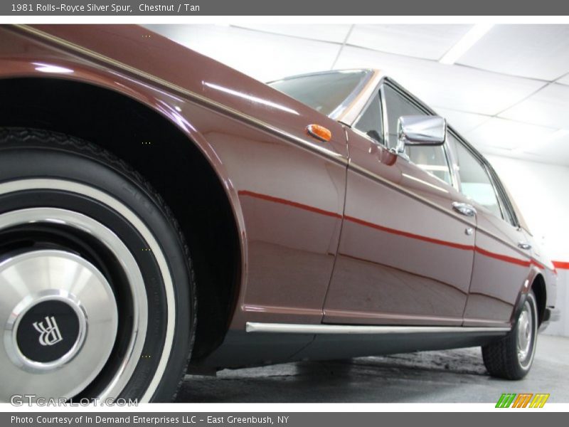 Chestnut / Tan 1981 Rolls-Royce Silver Spur