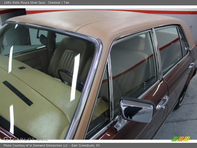 Chestnut / Tan 1981 Rolls-Royce Silver Spur