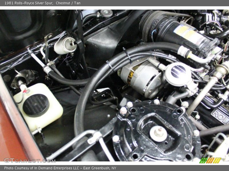 Chestnut / Tan 1981 Rolls-Royce Silver Spur
