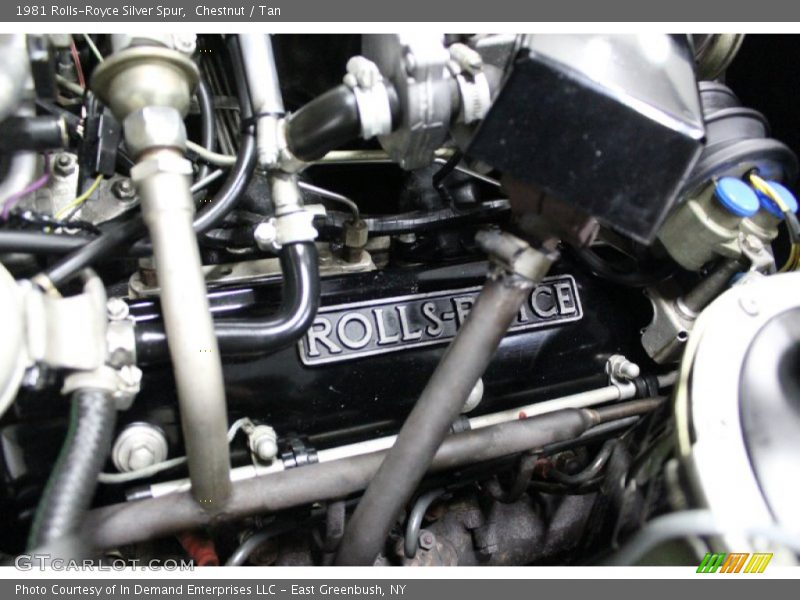 Chestnut / Tan 1981 Rolls-Royce Silver Spur