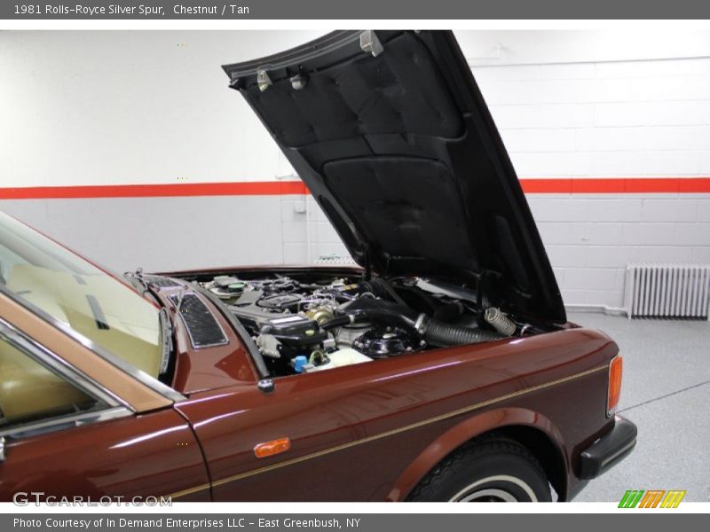 Chestnut / Tan 1981 Rolls-Royce Silver Spur