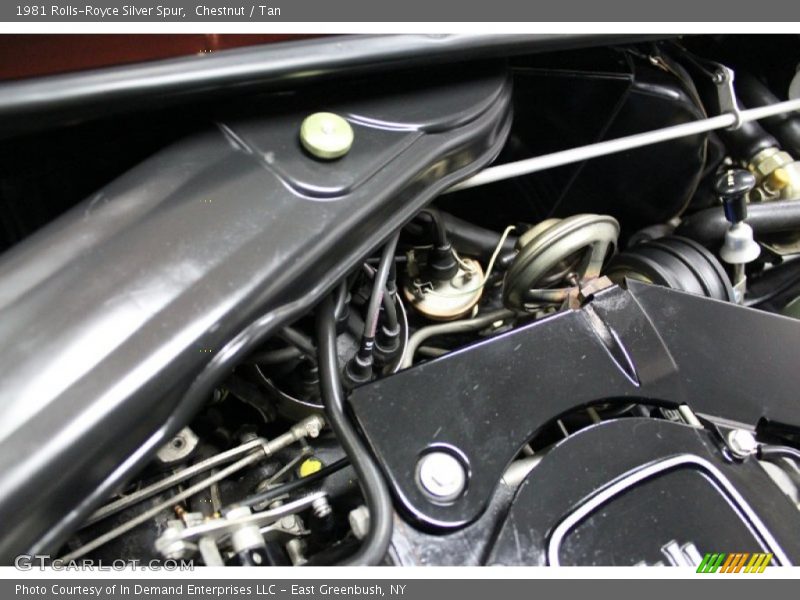 Chestnut / Tan 1981 Rolls-Royce Silver Spur