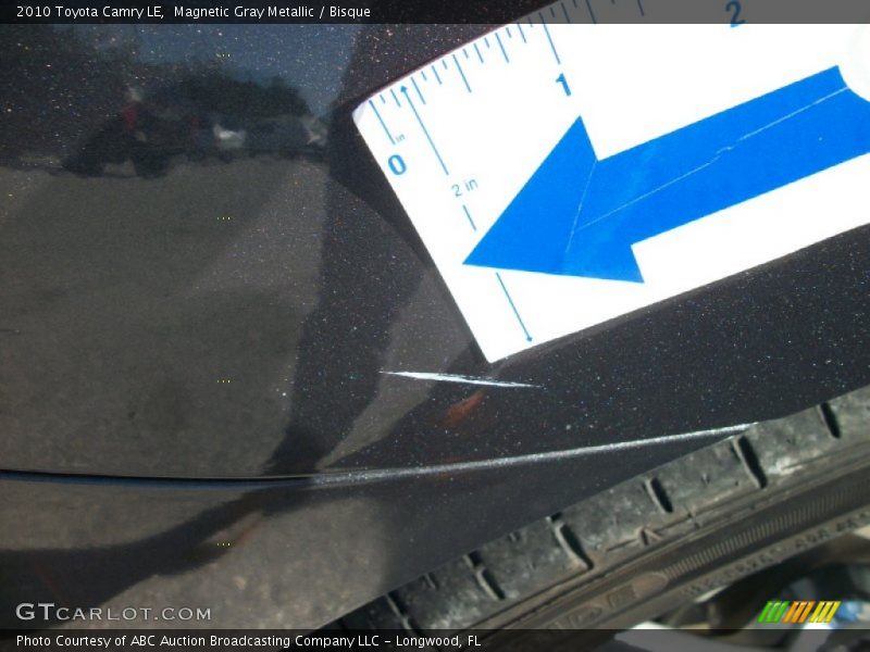 Magnetic Gray Metallic / Bisque 2010 Toyota Camry LE