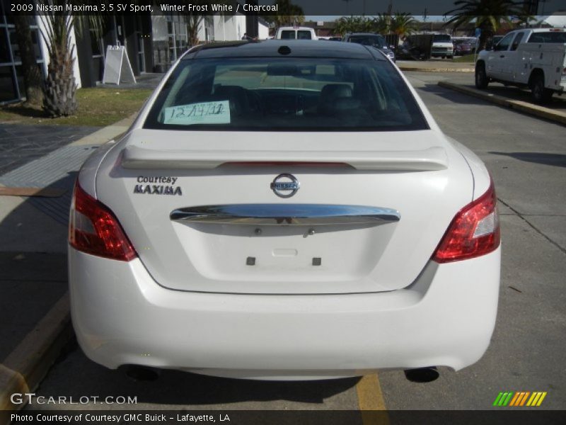 Winter Frost White / Charcoal 2009 Nissan Maxima 3.5 SV Sport