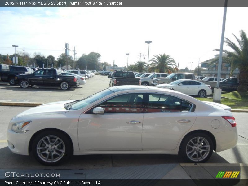 Winter Frost White / Charcoal 2009 Nissan Maxima 3.5 SV Sport