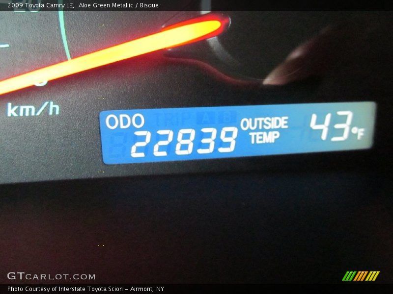 Aloe Green Metallic / Bisque 2009 Toyota Camry LE