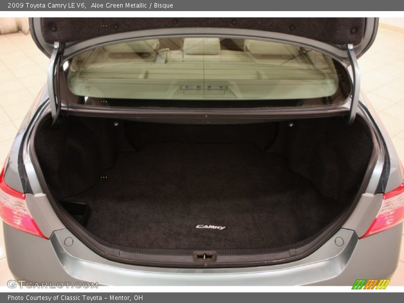 Aloe Green Metallic / Bisque 2009 Toyota Camry LE V6