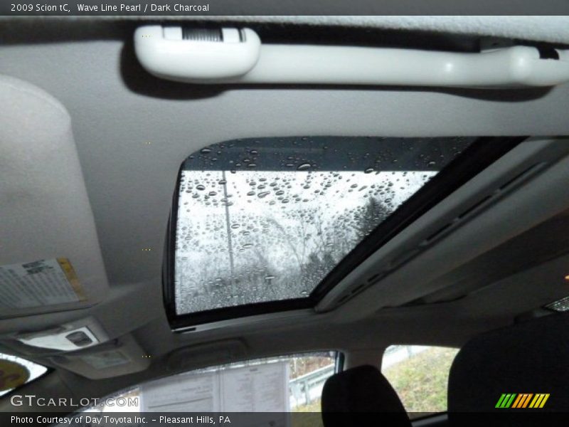 Wave Line Pearl / Dark Charcoal 2009 Scion tC