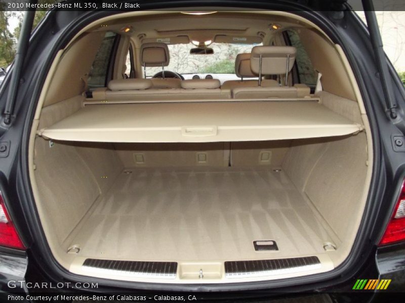 Black / Black 2010 Mercedes-Benz ML 350