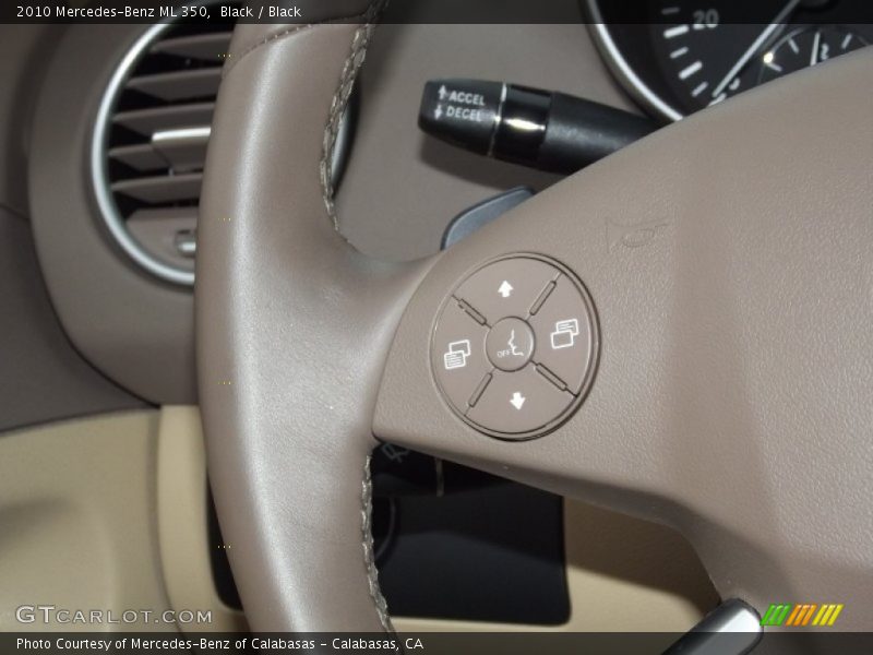 Black / Black 2010 Mercedes-Benz ML 350